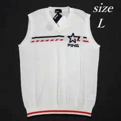 Item thumbnail for item 028b426e-3a01-4a66-bed2-56ad9d69efed