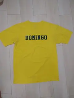 domingo