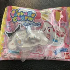 サンリオキャラクターズ パッケージチャーム＆チョコボローのサムネイル