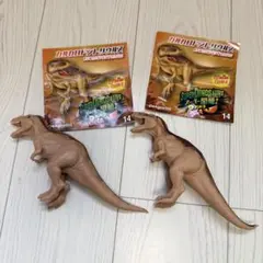 アンドコ カルカロドントサウルス 2体