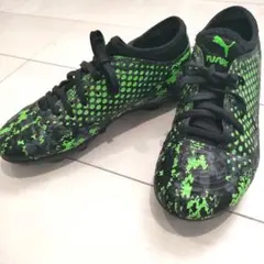 Item thumbnail for item e8a96434-1be7-4dde-98c3-4676b21aa0ed