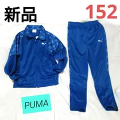 【新品】プーマ　キッズ　ジャージ　上下　青色　152
