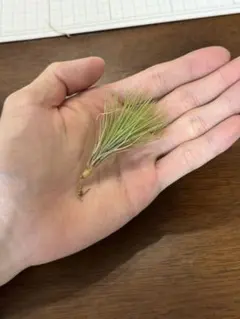 ちぇるちぇる様 リクエスト 6点 まとめ商品