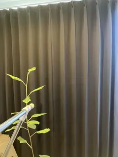 Item thumbnail for item 959a2cb9-5087-43c0-a405-4ed9bfac856c