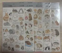 ア*マ様 大人の図鑑シール ５枚セット