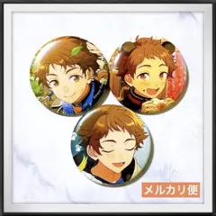 新品⭐︎ あんスタ 光 テーマ コレクション 缶バッジ コレ缶 2025 Jul