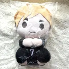 ハイキュー‼︎ おひざの上シリーズ 宮侑
