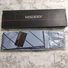 HISDERN ストライプ ネクタイ ライトブルー HC-02 幅8.5cm