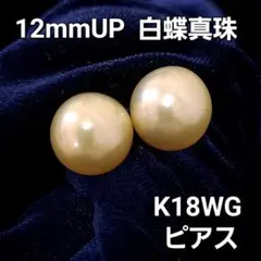 12mm UP 白蝶 真珠 ゴールデンパール K18WG ピアス 本真珠 鑑別 - メルカリ