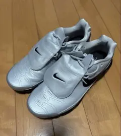 NIKE W AIRMAX PLUS Tiempo 希少サイズ30センチ