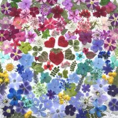 Item thumbnail for item 86072a0b-08f4-49db-95c9-b946eb1162eb