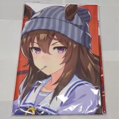 ウマ娘　ナカヤマフェスタ　応援タオル　ミニ応援タオル　アームサポーター ウマ娘 ナカヤマフェスタ 応援タオル ミニ応援タオル アームサポーター