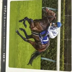 ドゥデュース 2025年 SHADAI GROUP 卓上カレンダー