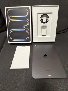 週末特価　iPad Pro 11インチ (M4)Wi-Fi スペースブラック