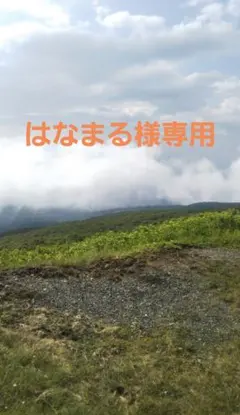 呪術廻戦　はなまる様専用ご確認ページ