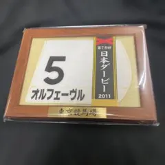 競馬】ヴィクトワールピサ（2010年皐月賞）額入りミニゼッケン／優勝