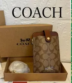 Item thumbnail for item c4c52e12-8ff6-469d-bc3a-945d0f7b17b2