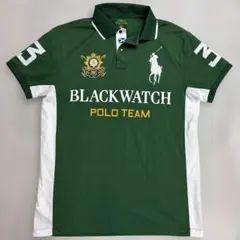 ポロラルフローレン　ビッグポニーロゴ刺繍ポロシャツ　グリーン　Mサイズ　美品