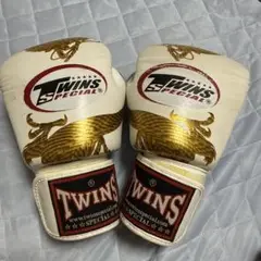 TWINSグローブ8oz