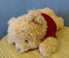 レア！プーと大人になった僕＊ぬいぐるみ＊ディズニー＊くまのプーさん