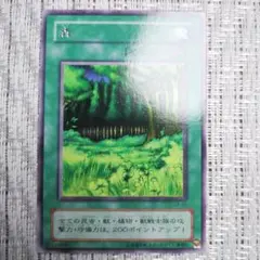 2000年青眼の白龍伝説2期LBブルーアイズホワイトドラゴン③✨裏面の横線等あり 2000年2期青眼の白龍伝説レジェンドオブブルーアイズホワイトドラゴン