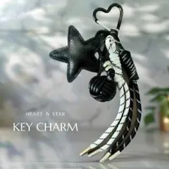 じゃらじゃらキーホルダー バッグチャーム 白黒 モノトーンコーデ パラコード 星