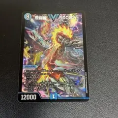 飛翔龍5000vt ホイル