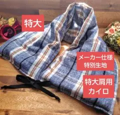 Item thumbnail for item a45438d2-a3e5-42a4-9495-be9e0d292de1