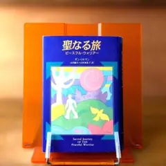 聖なる旅 : ピースフル・ウォリアー - メルカリ
