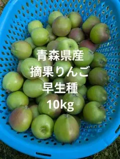 青森県産　摘果りんご　きおう　10kgのサムネイル