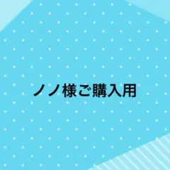 ノノ様、ご購入用