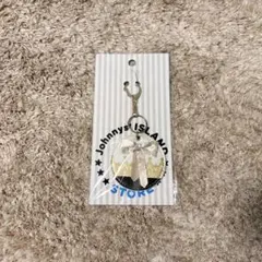 Item thumbnail for item 92615bab-0cbc-4d61-b24c-a27002b38dda