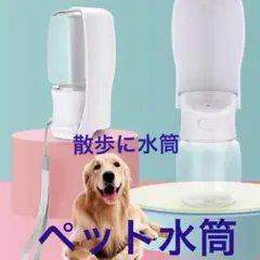 Item thumbnail for item b81f9a12-7609-46e8-a0a9-bf28322ead46