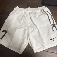 Item thumbnail for item 2d1f919d-d890-4088-bf69-bb0ee7935d07