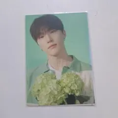 SEVENTEEN HANABI トレカ DINO