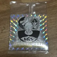 ドラゴンボール 40周年記念 シールウエハース2 第十三巻