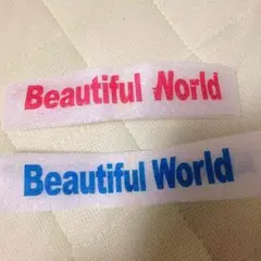 嵐 落下物 BeautifulWorld