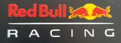 レッドブルレーシングホンダ　ステッカー　走り屋　カート　バイク　F1 マックス