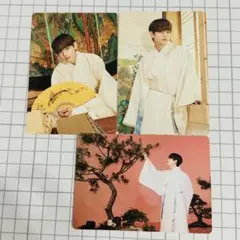 bts v DALMAJUNG ダルマジュン ミニフォト フォトカード テテ