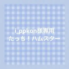 i_ppkon様専用　たっち！ハムスターのサムネイル