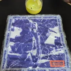 Item thumbnail for item ee0d5e90-4489-42d3-8ccf-215c75ff4c98