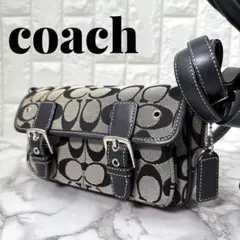 希少COACH x A BATHING APE ショルダー バッグ - メルカリ