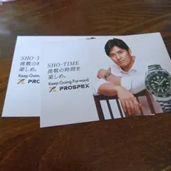 大谷翔平選手 ポストカード　2枚