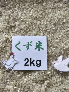 屑米　鶏　ニワトリ　餌　エサ 10kg】にわとり えさ 鶏 飼料 とりひかり 鳥光 【再利用米袋使用】 成