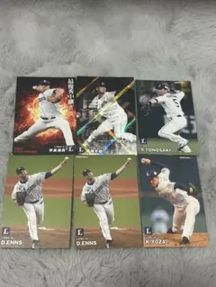 プロ野球チップスカード　埼玉西武ライオンズ