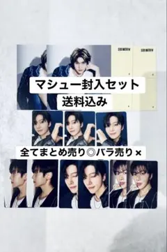 マシュー メテュ トレカ ICONIK ゼベワン 封入 コンプ ZB1 매튜