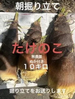専用！タケノコ10キロ 産地直送 蒸し大豆 米ぬか 鷹の爪 レシピ付き！ 専用！タケノコ10キロ 産地直送 蒸し大豆 米ぬか 鷹の爪 レシピ付き