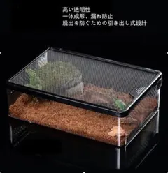 Item thumbnail for item 730b278c-2da3-4a4f-993a-4a78af7eb1fb