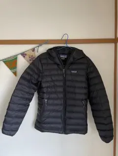 2025年最新】パタゴニア ダウンセーター フーディの人気アイテム