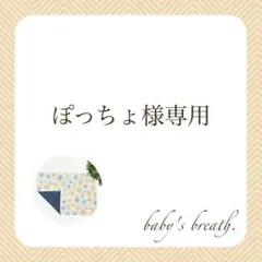 ぽっちょ様専用